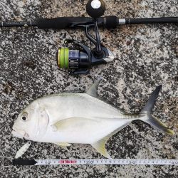 沖縄でも寒いです