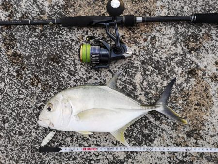 沖縄でも寒いです