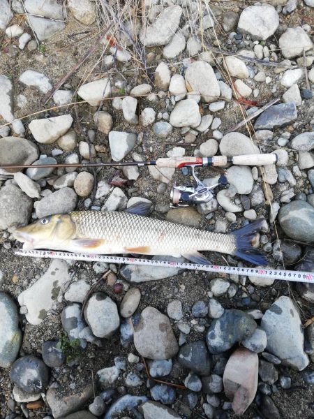 バスを狙うも…