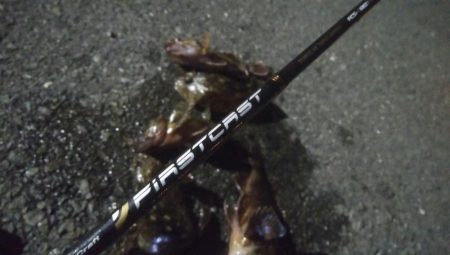 釣りデビュー　53日目