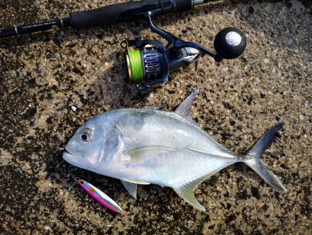 日中でも釣れました
