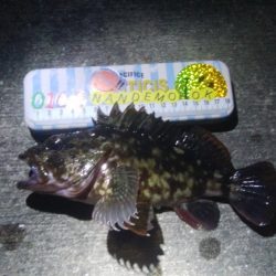 釣りデビュー 63日目