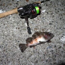 2021シーズン開幕!?