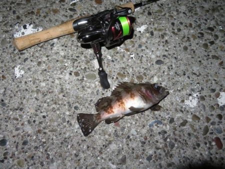 2021シーズン開幕！？