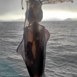 初詣(海)釣行❗