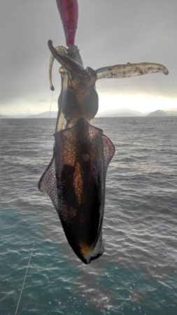 初詣(海)釣行❗