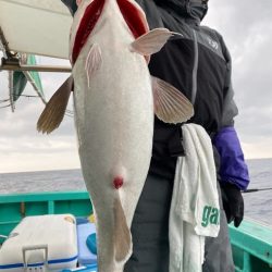 広進丸 釣果
