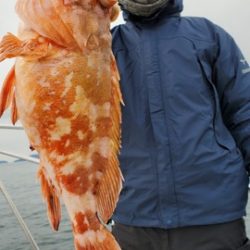 遊漁船 ニライカナイ 釣果