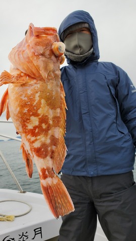 遊漁船 ニライカナイ 釣果