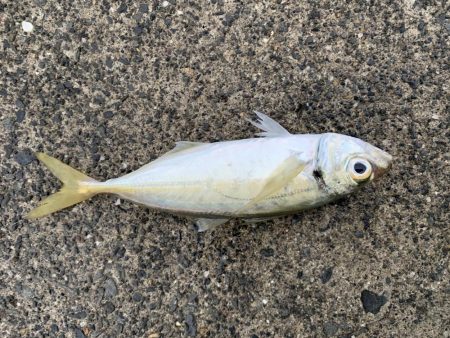 悪天候の中での釣り