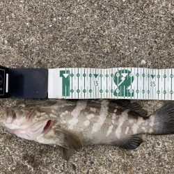 2020ファイナルRIDEON！