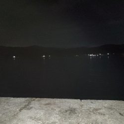 尺ガシラで年始め