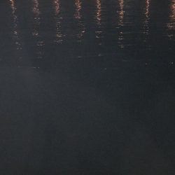 青イソメいいですね