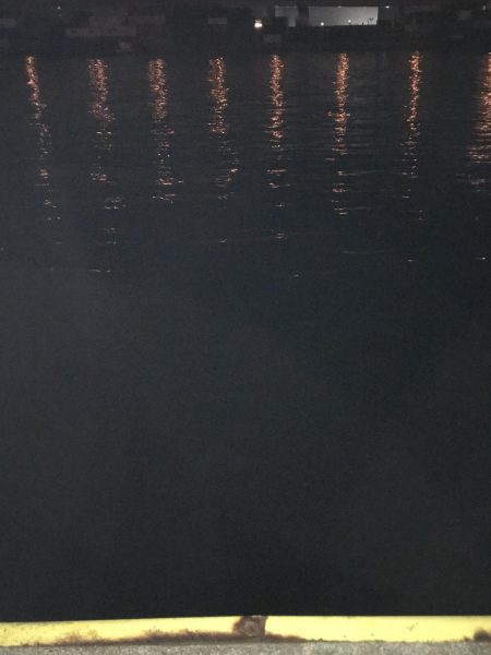 青イソメいいですね