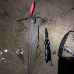 渋い感じでしたが…