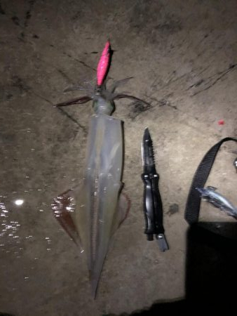 渋い感じでしたが…