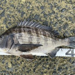 イチノ兄弟、釣果！