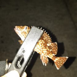 またまた仕事帰りに