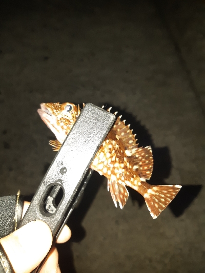 またまた仕事帰りに