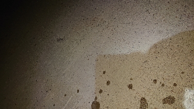 nightアジング！