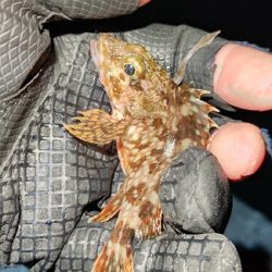 まだまだ修行が必要