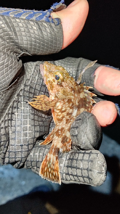 まだまだ修行が必要