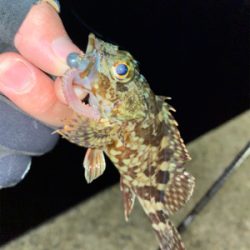 お手軽エサ釣り