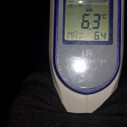 アジング練習 246  ヒイカ調査