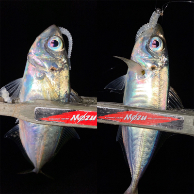 アジング楽しい