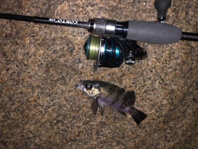 初釣り、鱗付け