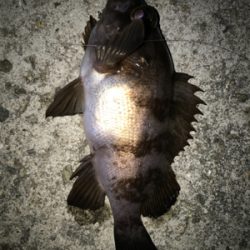 2021ライトゲーム第1戦