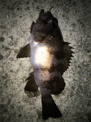 2021ライトゲーム第1戦