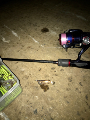 渋いけどヒイカまだ釣れます(^.^)