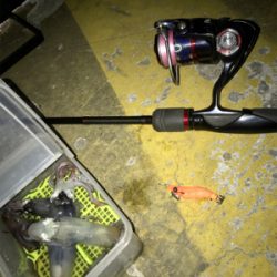 -4℃でもヒイカ釣りσ(^_^;)