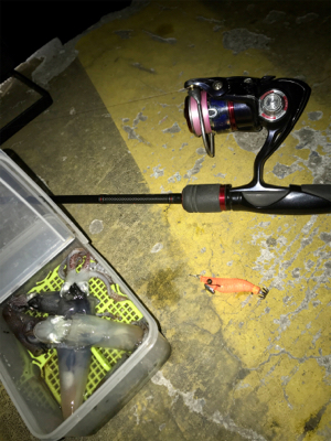 -4℃でもヒイカ釣りσ(^_^;)