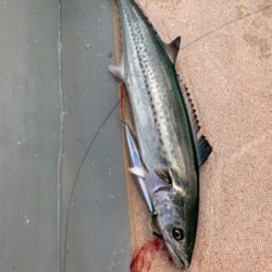 ドリームチェイサーさんにて