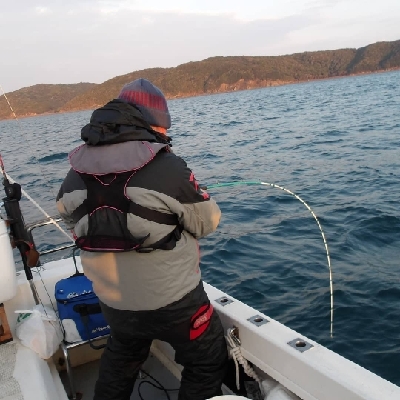 SOUTH(サウス)釣果