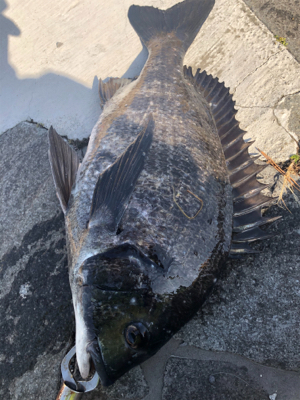 2021初フィッシュ!