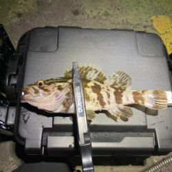 釣れない時に、時を戻そう。