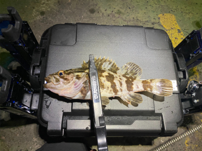 釣れない時に、時を戻そう。