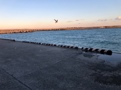 カマスとイシモチ