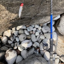 爆風のヒラスズキ釣行！！