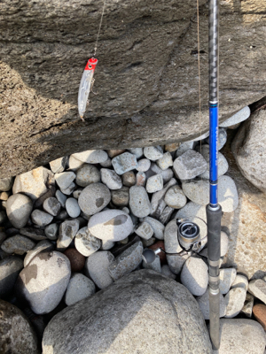 爆風のヒラスズキ釣行！！