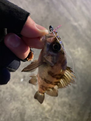 ライトゲーム‼︎