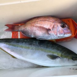 天気はいいのにょ