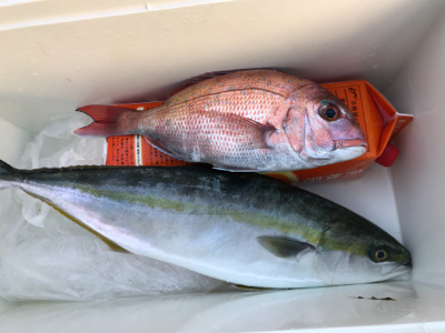 天気はいいのにょ