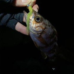 2021 やっと釣り初め