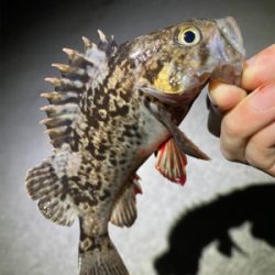 常夜灯プラッギング