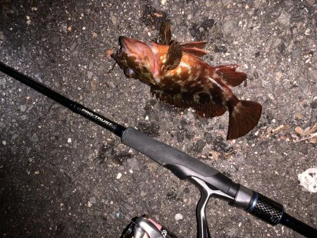 ガシリング！！