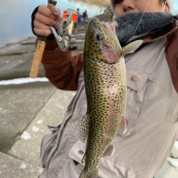 北方マス釣り場